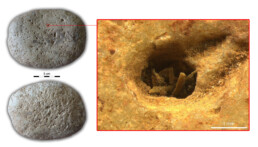 Pietra da macina neolitica con resti di fibre vegetali proveniente dalla grotta di Haua Fteah, Libia