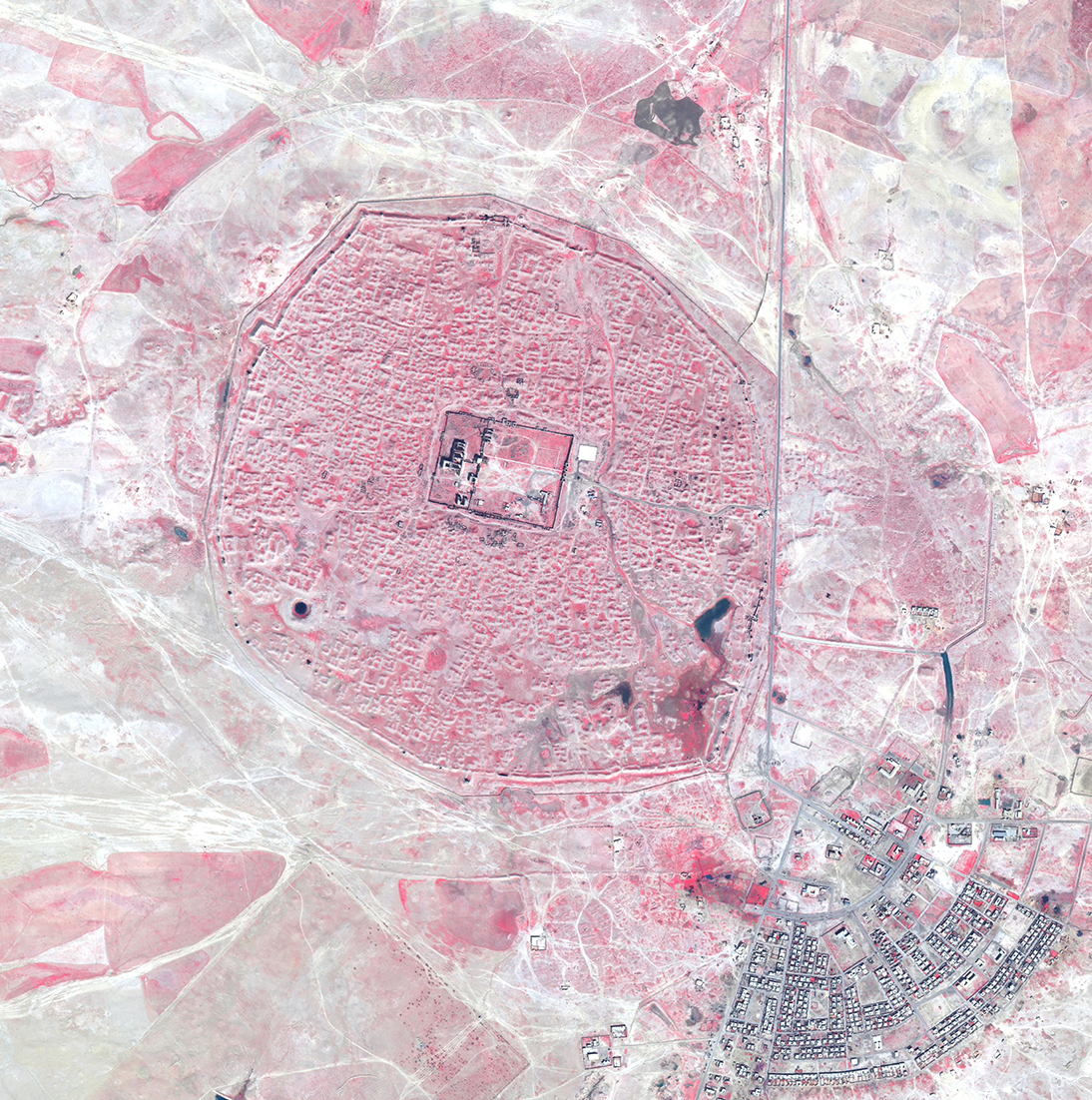 Hatra (Iraq) in un’immagine pan-sharpened QuickBird-2 a falso colore infrarosso del 2004
