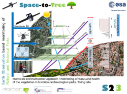 Progetto Space-to-Tree: approccio multiscale e multisensore per lo studio, il monitoraggio e la gestione del patrimonio arboreo in siti archeologici e parchi urbani di interesse storico | © Nicola Masini, CNR ISPC