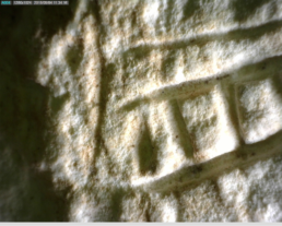 Detail picture of a decorated fragment from Romanelli Cave (Puglia, Italy) | © Dario Sigari