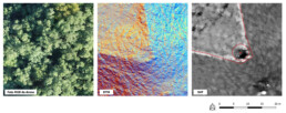 Alcuni risultati ottenuti dall’elaborazione dei dati LiDAR. Nell’immagine è mostrata la stessa scena in tre prodotti differenti: dati registrati da un semplice drone dotato di fotocamera RGB, dati del terreno (DTM) ottenuti dal LiDAR, e dati derivanti dal post-processing dei dati LiDAR (Sky-View-Factor). Il tratteggio rosso sta ad indicare alcune delle strutture identificate, come la torre e la cinta muraria difensiva, completamente coperte da vegetazione | © CNR ISPC