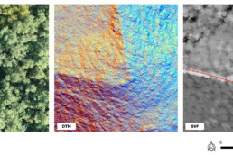 Alcuni risultati ottenuti dall’elaborazione dei dati LiDAR. Nell’immagine è mostrata la stessa scena in tre prodotti differenti: dati registrati da un semplice drone dotato di fotocamera RGB, dati del terreno (DTM) ottenuti dal LiDAR, e dati derivanti dal post-processing dei dati LiDAR (Sky-View-Factor). Il tratteggio rosso sta ad indicare alcune delle strutture identificate, come la torre e la cinta muraria difensiva, completamente coperte da vegetazione | © CNR ISPC