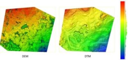 Modelli digitali del sito con la vegetazione (DEM) e dopo la rimozione della vegetazione (DTM) | © AirLab CNR ISPC