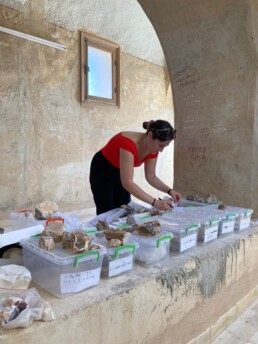 Selezione dei campioni geologici in selce dalla Tunisia presso il Museo Archeologico di Sousse