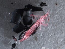Campione prelevato da un filo che raccorda i due lembi dei sacchi di iuta, con tracce di preparazione della fibra di colore rosso e strato pittorico superficiale nero