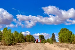 Veduta del sito di Oued Beht, Marocco | © Archivio Fotografico OBAP