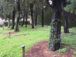 Parchi e viale della Rimembranza: Parco della Rimembranza della Croce Rossa Italiana, Firenze. Cipressi con targhe dedicate