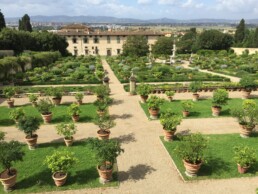 Giardini Storici: Villa Medicea di Castello, Firenze. Panorama