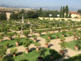 Giardini Storici: Villa Medicea di Castello, Firenze. Panorama con la collezione botanica di agrumi (Citrus) | © CNR ISPC