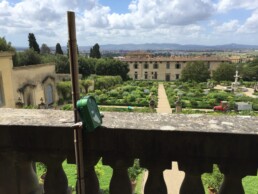 Giardini Storici: Villa Medicea di Castello, Firenze. Webcam per il monitoraggio di caratteri fenologici ed ecologici su alberi monumentali