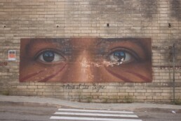 Studio del degrado per la conservazione dell’opera murale urbana di arte contemporanea “Ama il tuo sogno” di Jorit Agoch a Matera. Accordo di collaborazione tra CNR ISPC e ICR (Istituto Centrale del Restauro), 2021-2022