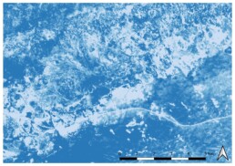 Immagine satellitare Sentinel 2 elaborata con indice spettrale OSAVI