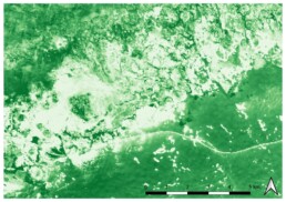 Immagine satellitare Sentinel 2 elaborata con indice spettrale NDWI