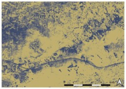 Immagine satellitare Sentinel 2 elaborata con indice spettrale DVI