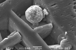 Immagine al microscopio elettronico a scansione di una particella carboniosa nel network di cristalli di gesso da degrado su marmo di Candoglia