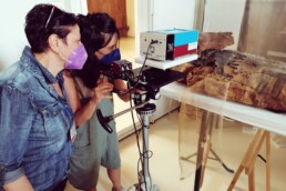 Misure mediante Raman portatile su una mummia in restauro presso i laboratori del Centro Conservazione e Restauro La Venaria Reale di Torino