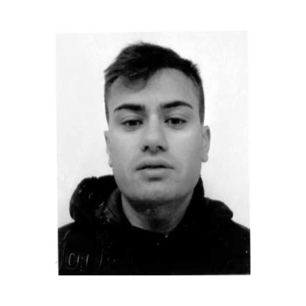 Collaborazioni FI
