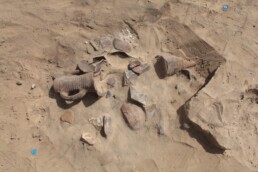 Egitto, antica città di Tjeku, oggi Tell el-Maskhuta: particolare della giacitura di anfore | CNR ISPC