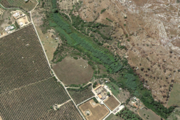 Veduta aerea dell'insediamento fortificato protostorico di Masseria Fani, Salve, LE | © Google Earth