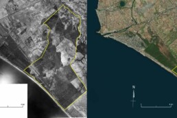 A sinistra mosaico di foto aeree del 1954 (volo GAI). Nella Tenuta di Castelporziano (areale giallo) sono ben visibili le ampie aree prive di vegetazione rispetto alla situazione attuale (foto a destra) | © PRIN2022 HiLLL – Hidden Landscapes of Lost Latium