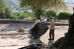 Il gruppo di ricerca nella necropoli fenicia dell'insediamento di Pani Loriga in Sardegna - Campagna di scavo 2023 | © CNR ISPC