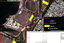 Esempi di vettori ottenuti tramite applicazione di Machine Learning in un WebGIS | © Pasquale Merola, CNR ISPC