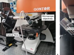 Micro-SORS prototype at CNR-ISPC Raman Lab for deep Raman analyses (a); optical geometry for laser illumination and Raman collection (b) | © CNR ISPC