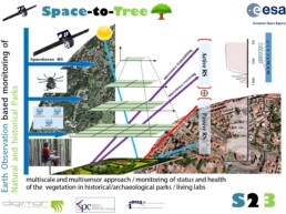 Approccio metdologico multiscale del progetto Sapece to Tree | © Nicola Masini, CNR ISPC