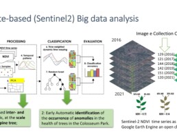 Approccio metodologico all’analisi di Big data telerilevati satellitari per lo studio dello stato di salute di coperture arboree alla scala del singolo albero | © Nicodemo Abate, Nicola Masini, CNR ISPC